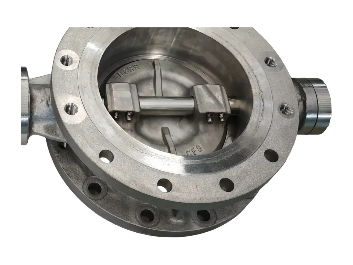Cryogenic butterfly valve seat detail — triple-offset metal sealing