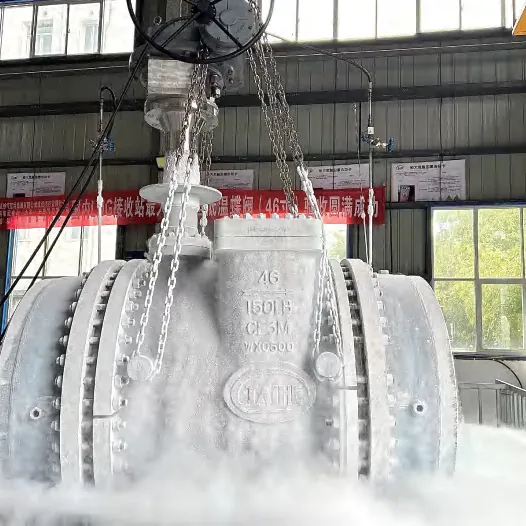 Large-bore cryogenic butterfly valve frosted over during liquid-nitrogen testing