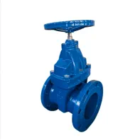 AWWA Resilient Gate Valve (NRS) AWWA C509 / C515 · DN40 – DN600