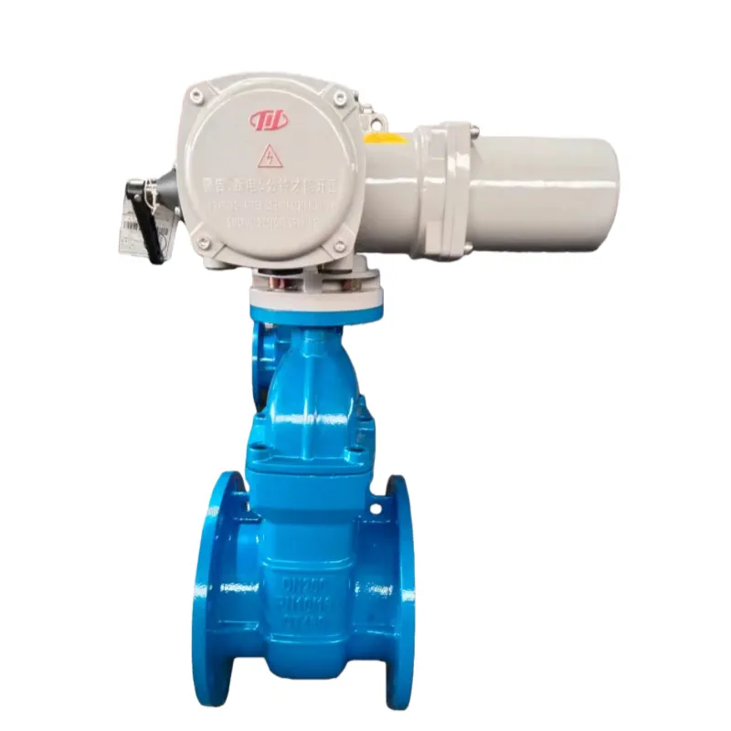 Electric Gate Valve (Z945X / Z941X) Z945X / Z945T / Z941X / Z941T