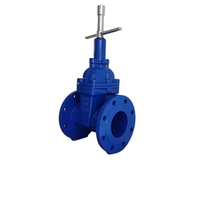 Mechanical Lock Gate Valve Mechanical lock type